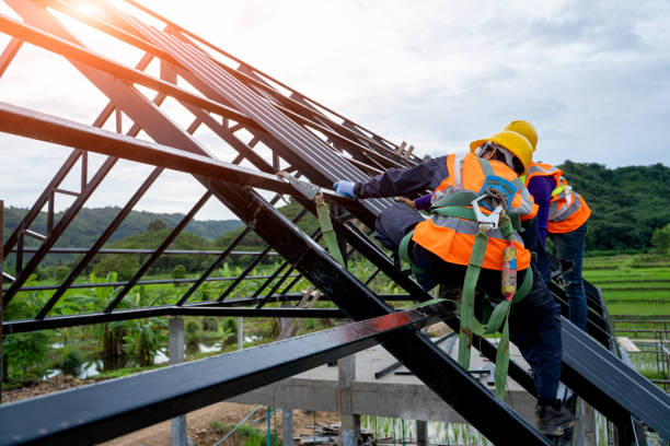 Best Roof Gutter Cleaning  in Gaylord, MN
