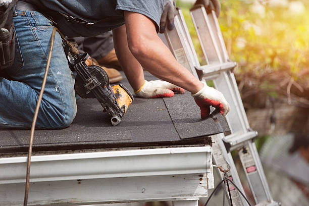 Quick and Trustworthy Emergency Roof Repair Services in Gaylord, MN