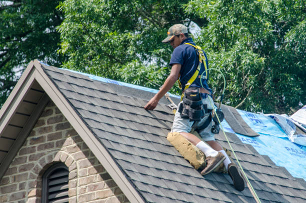 Best Residential Roof Replacement  in Gaylord, MN